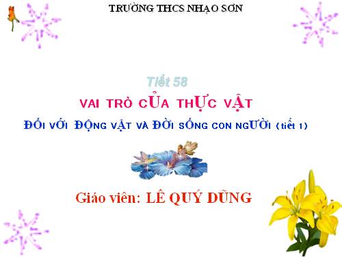 Bài 48. Vai trò của thực vật đối với động vật và đối với đời sống con người