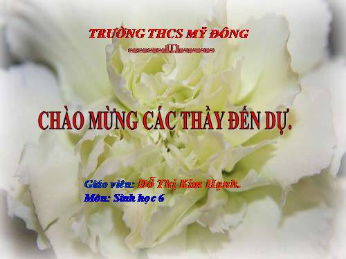 Bài 49. Bảo vệ sự đa dạng của thực vật