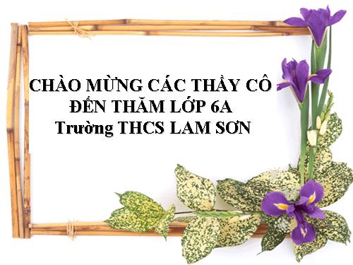 Bài 39. Quyết - Cây dương xỉ