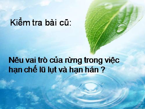 Bài 48. Vai trò của thực vật đối với động vật và đối với đời sống con người