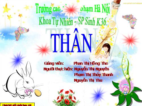 hinh thai giai phau - than cay