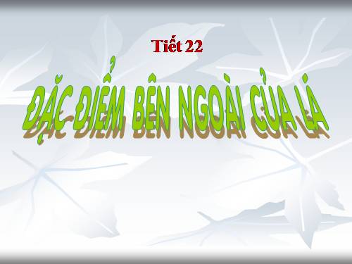 Bài 19. Đặc điểm bên ngoài của lá