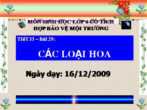 Bài 29. Các loại hoa