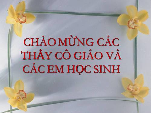 Bài 40. Hạt trần - Cây thông