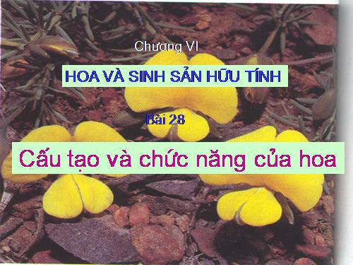 Bài 28. Cấu tạo và chức năng của hoa