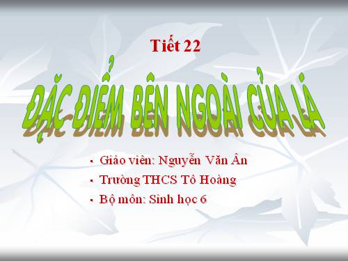 Bài 19. Đặc điểm bên ngoài của lá