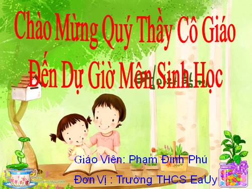 Bài 47. Thực vật bảo vệ đất và nguồn nước