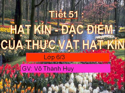 Bài 41. Hạt kín - Đặc điểm của thực vật Hạt kín