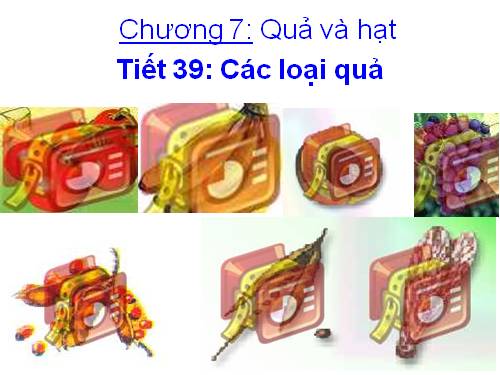 Bài 32. Các loại quả