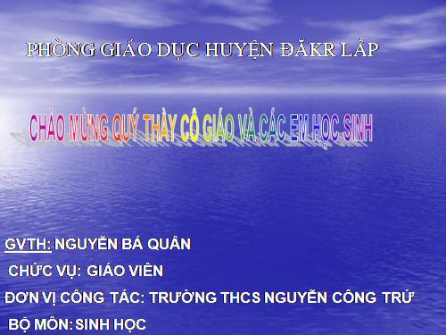 Bài 47. Thực vật bảo vệ đất và nguồn nước