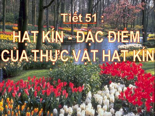 Bài 41. Hạt kín - Đặc điểm của thực vật Hạt kín