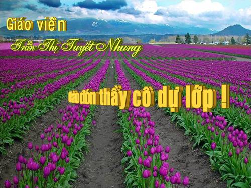Bài 40. Hạt trần - Cây thông