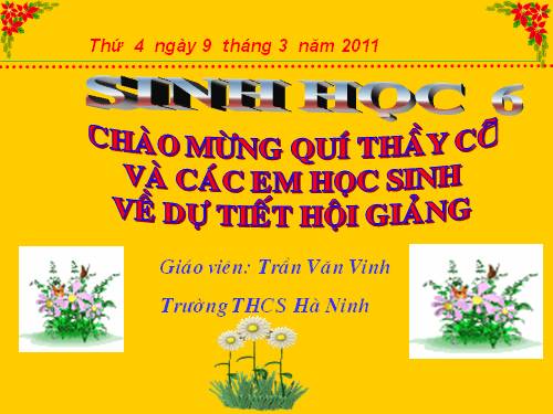 Bài 43. Khái niệm sơ lược về phân loại thực vật