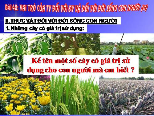 Bài 48. Vai trò của thực vật đối với động vật và đối với đời sống con người