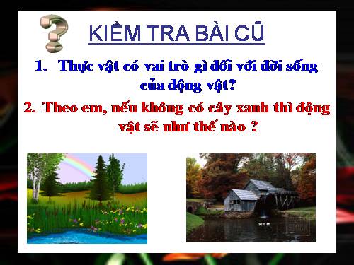 Bài 48. Vai trò của thực vật đối với động vật và đối với đời sống con người