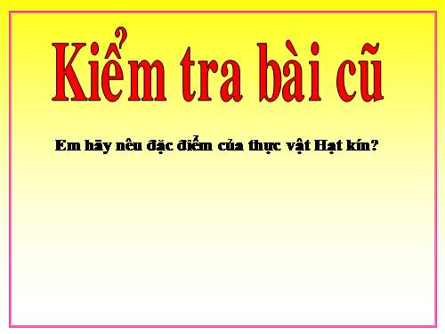 Bài 42. Lớp Hai lá mầm và lớp Một lá mầm