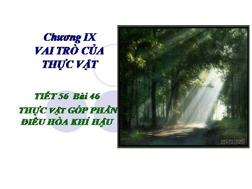 Bài 46. Thực vật góp phần điều hoà khí hậu