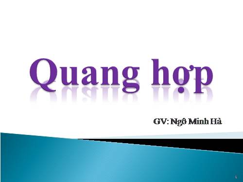 Bài 21. Quang hợp