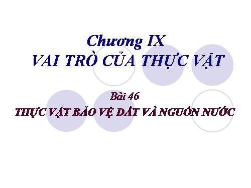 Bài 47. Thực vật bảo vệ đất và nguồn nước