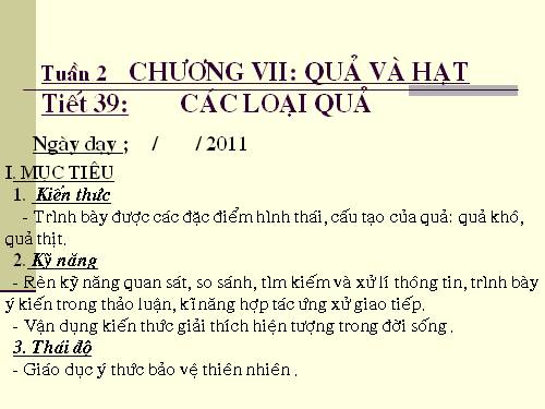 Bài 32. Các loại quả