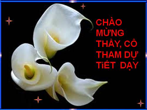 Bài 48. Vai trò của thực vật đối với động vật và đối với đời sống con người