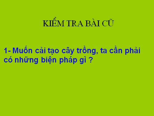 Bài 46. Thực vật góp phần điều hoà khí hậu