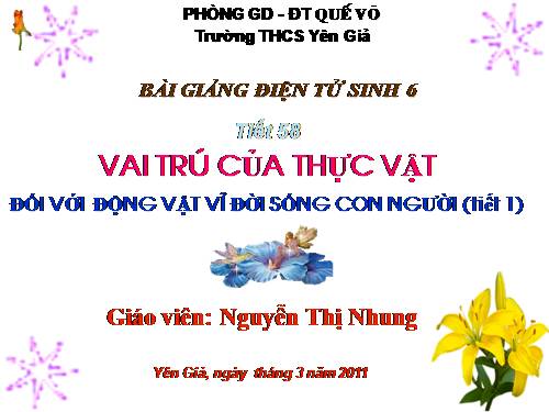 Bài 48. Vai trò của thực vật đối với động vật và đối với đời sống con người