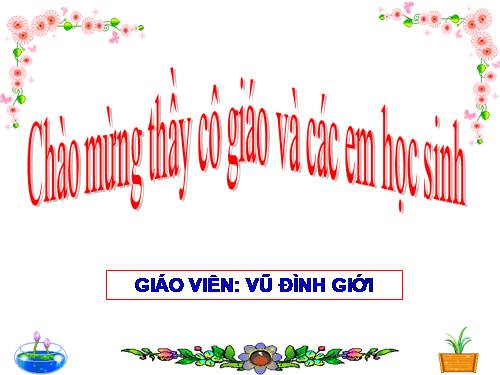 Bài 46. Thực vật góp phần điều hoà khí hậu
