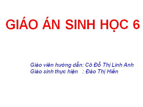 Bài 44. Sự phát triển của giới Thực vật