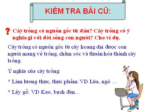 Bài 46. Thực vật góp phần điều hoà khí hậu