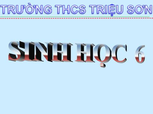 Bài 43. Khái niệm sơ lược về phân loại thực vật