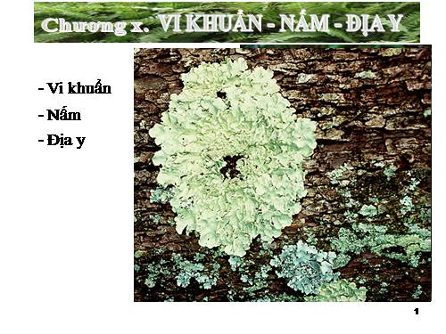 Bài 50. Vi khuẩn