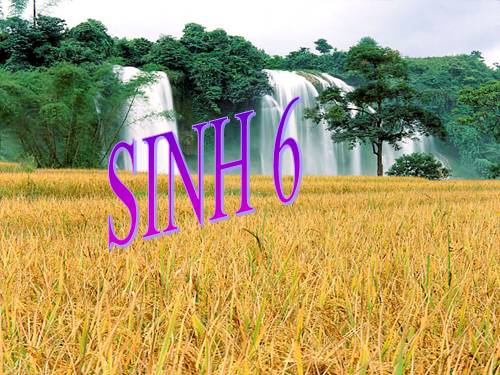 Bài 41. Hạt kín - Đặc điểm của thực vật Hạt kín