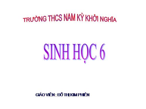 Bài 19. Đặc điểm bên ngoài của lá