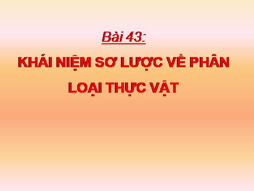 Bài 43. Khái niệm sơ lược về phân loại thực vật