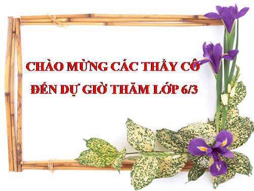 Bài 39. Quyết - Cây dương xỉ