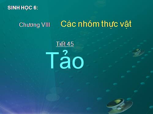 Bài 37. Tảo