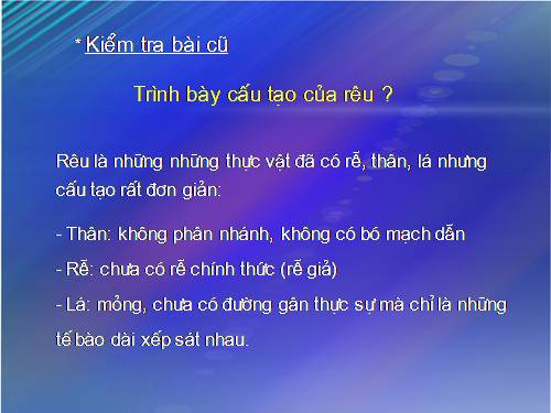 Bài 39. Quyết - Cây dương xỉ