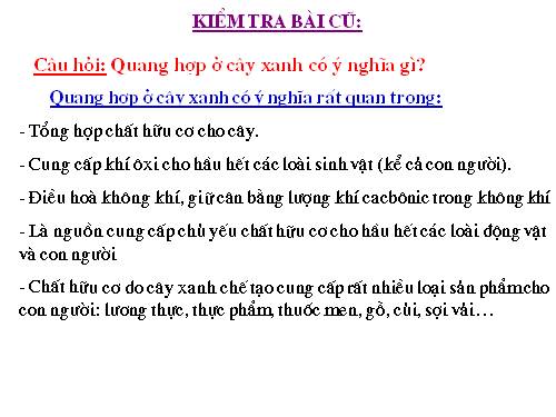 Bài 23. Cây có hô hấp không?