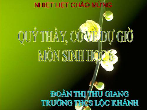 Bài 42. Lớp Hai lá mầm và lớp Một lá mầm