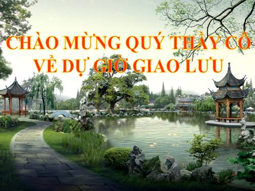 Bài 39. Quyết - Cây dương xỉ