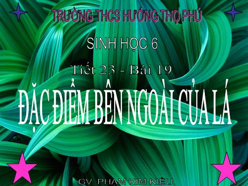 Bài 19. Đặc điểm bên ngoài của lá