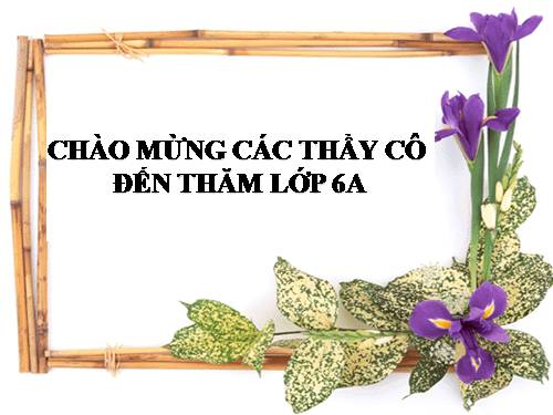 Bài 39. Quyết - Cây dương xỉ