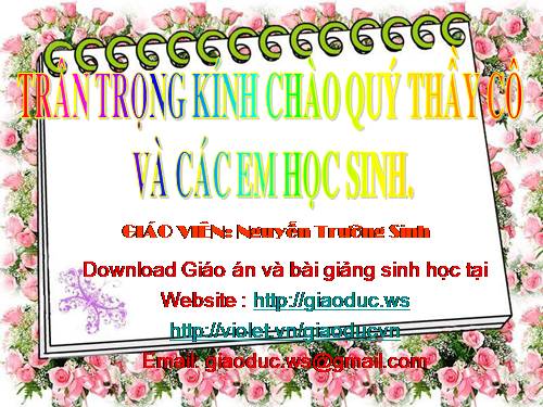 Bài 41. Hạt kín - Đặc điểm của thực vật Hạt kín