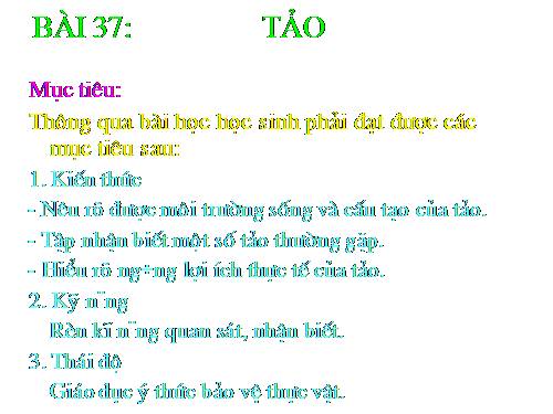 Bài 37. Tảo