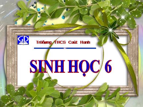 Bài 27. Sinh sản sinh dưỡng do người