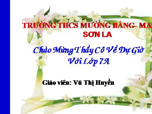 Bài 40. Hạt trần - Cây thông