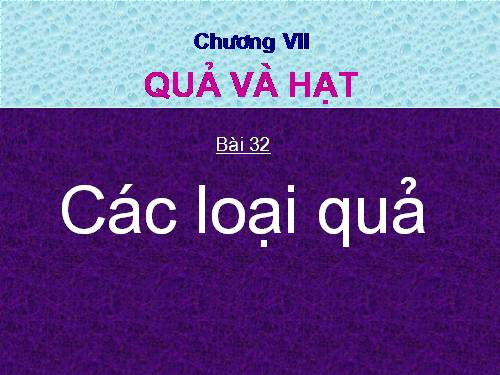 Bài 32. Các loại quả