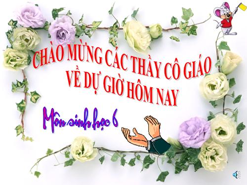 Bài 36. Tổng kết về cây có hoa