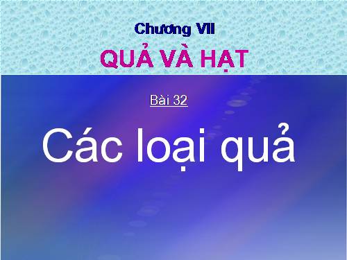 Bài 32. Các loại quả